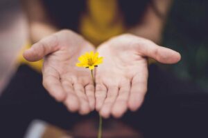 lina-trochez-377674-unsplash-e1563358159320-1536x1025